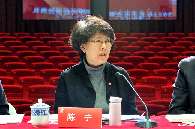 1北京市文联党组书记、常务副主席陈宁讲话