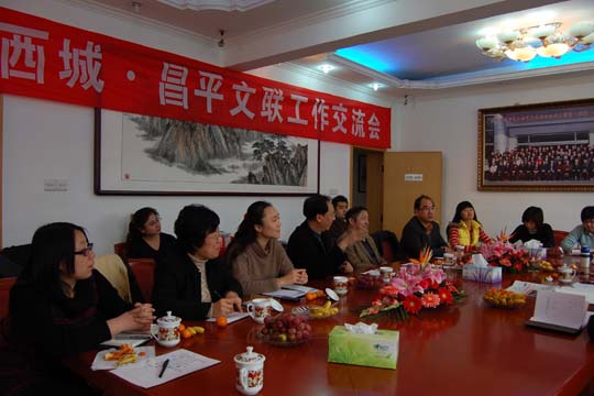 20100128093936471.jpg