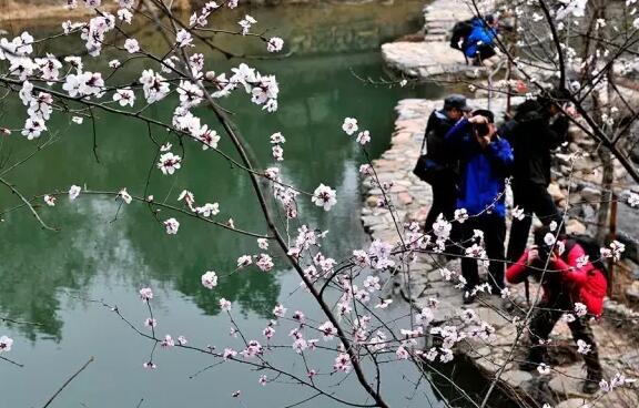 会员在景区进行摄影创作 会员在景区进行摄影创作