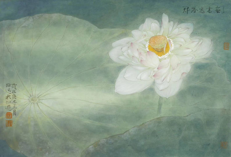 2郑路迅 不染 2郑路迅 不染