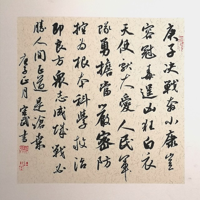 22张宏武《抗击病毒》 22张宏武《抗击病毒》