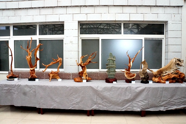 插图5：部分展出作品