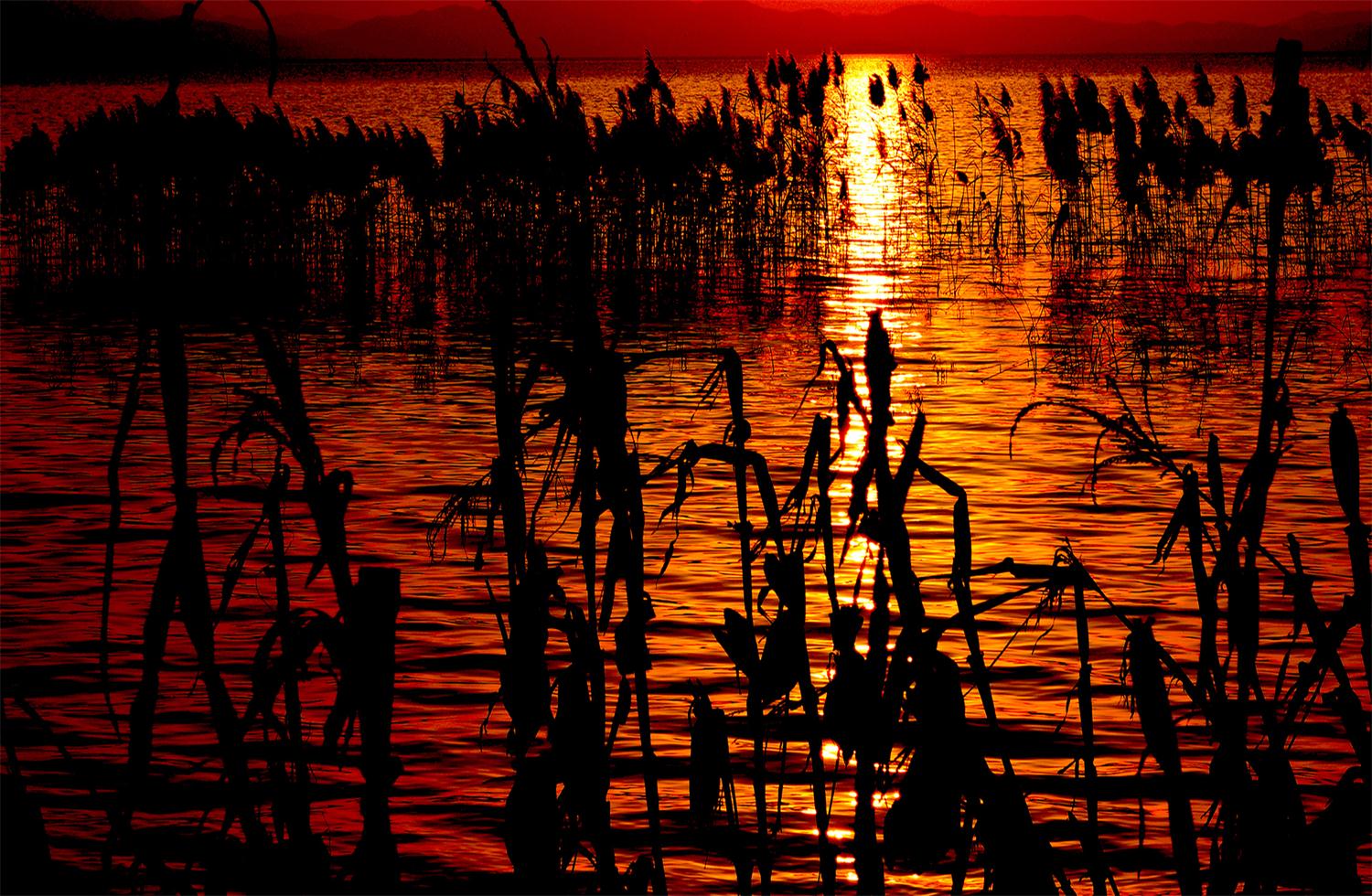 张永红《最美夕阳》13522877189 张永红《最美夕阳》13522877189