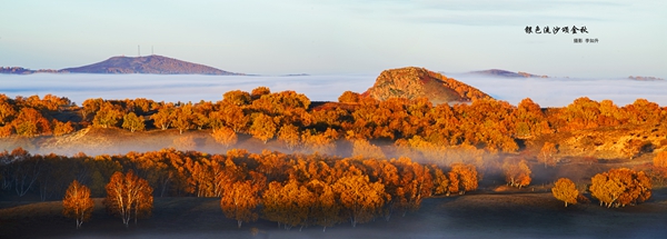 图9、摄影作品《银色流沙颂金秋》