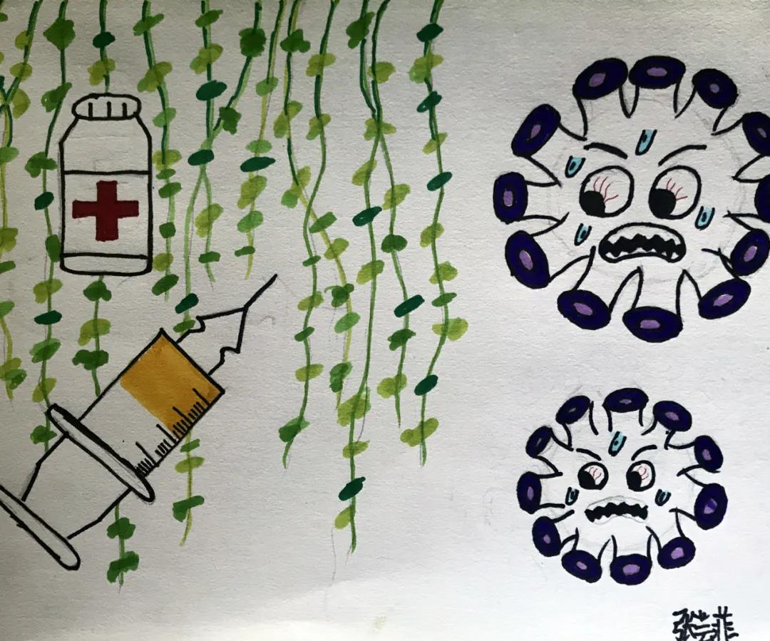 张芸菲-进步小学三年级 张芸菲-进步小学三年级