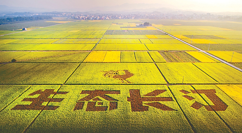 诗画田园  张平 摄