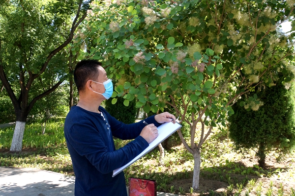 插图2:画家们现场写生 插图2:画家们现场写生