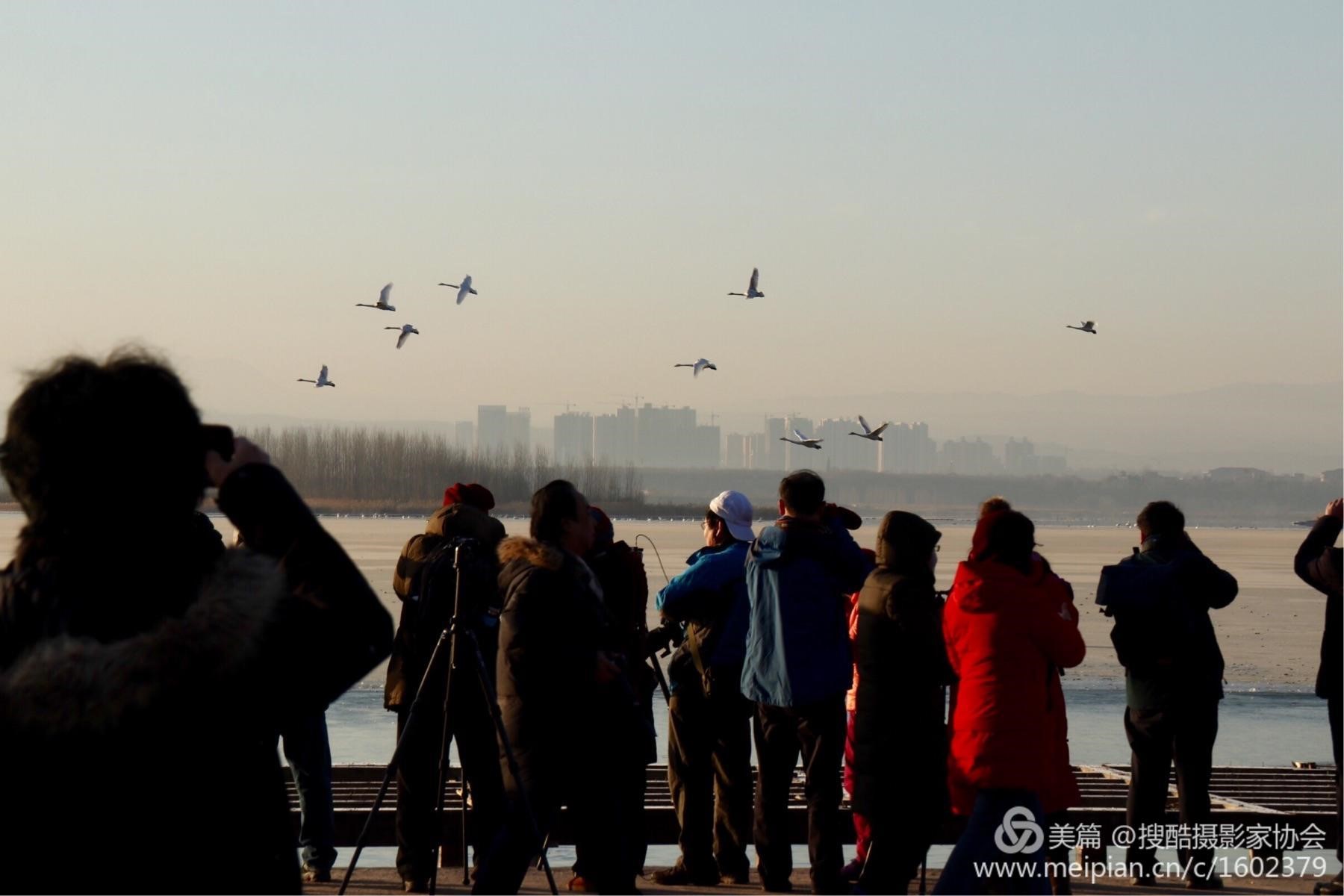 心中的飞翔(陈钢利摄) 心中的飞翔(陈钢利摄)
