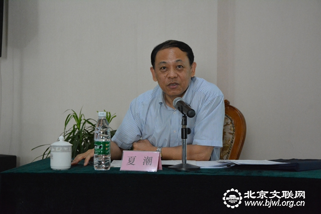 3第九届中国文联主席、中国文艺评论家协会副主席夏潮授课